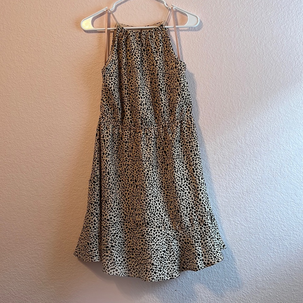 Leopard Print Dress